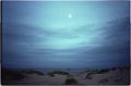 Beach scene, late evening